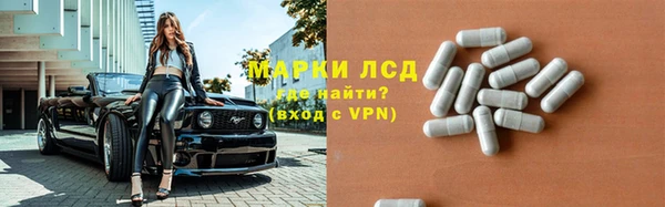 кокс Арсеньев