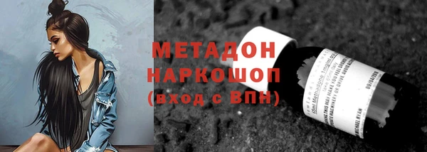 хмурый Аркадак