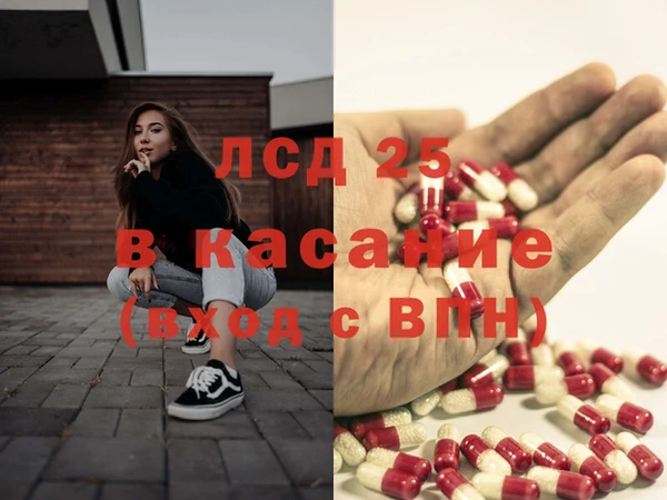 хмурый Аркадак