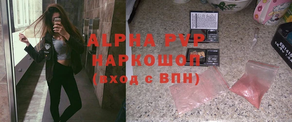 хмурый Аркадак