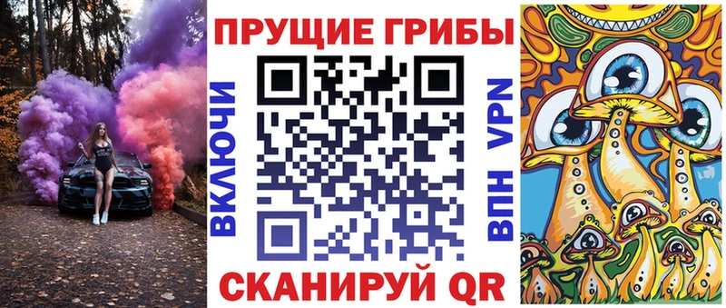 Псилоцибиновые грибы Psilocybe  Урус-Мартан 